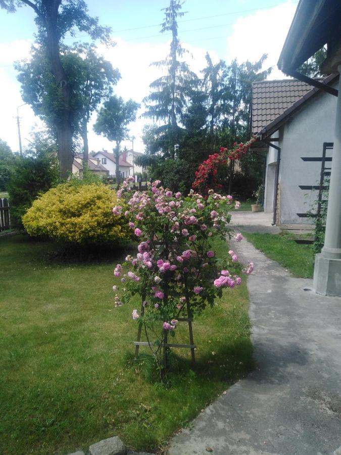 Lubicz Piernikowy Dworek מראה חיצוני תמונה
